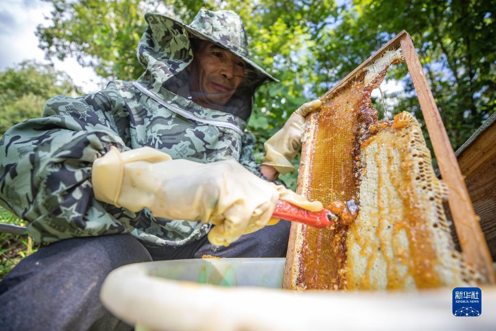 存10送38彩金白菜